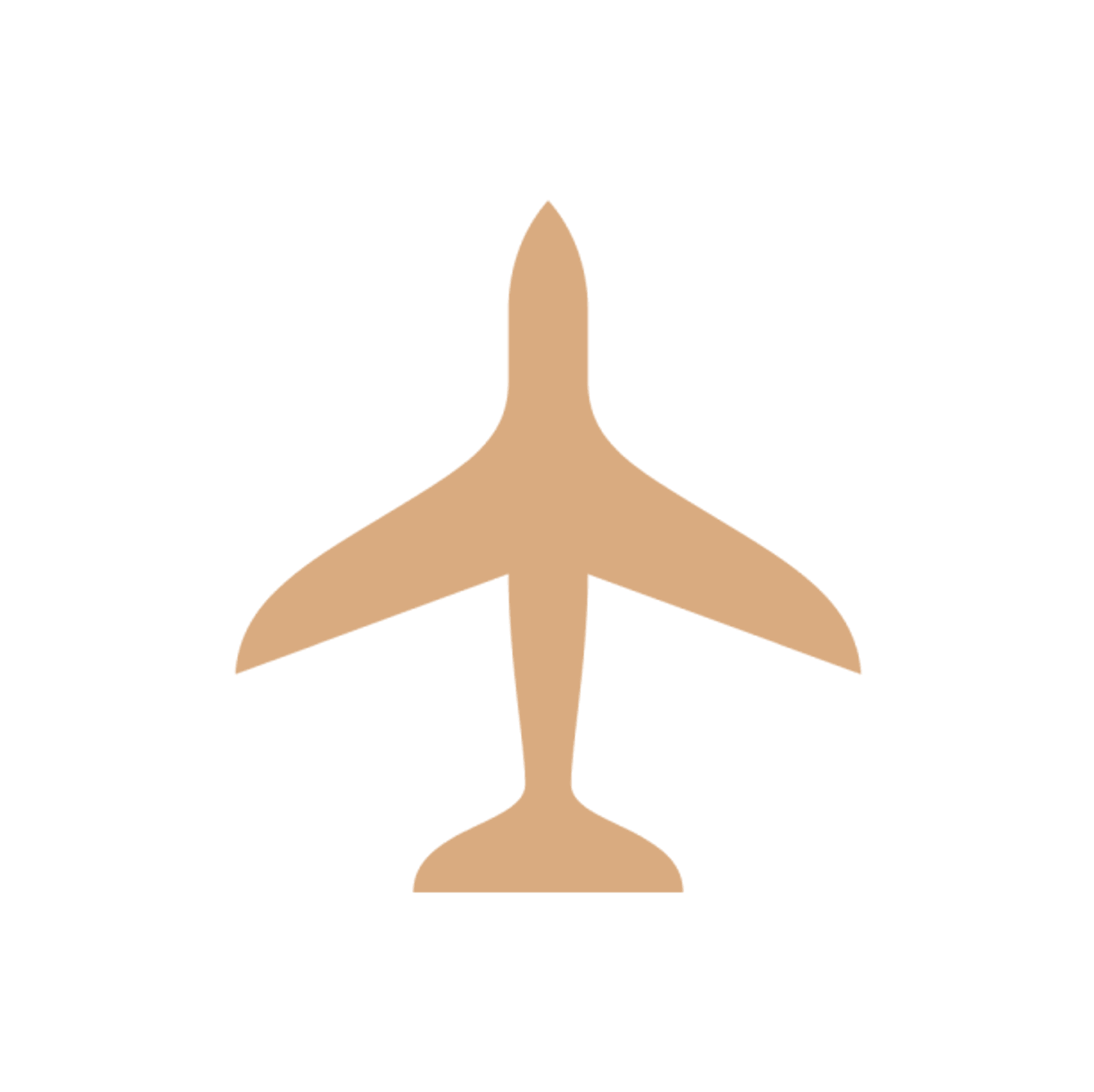 Advanced Aviation Team Branding